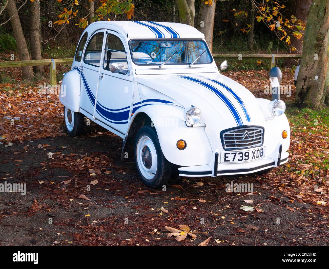 Smart weiß und blau 1987 registriert Citron 2CV Auto in Danby North Yorkshire Stockfoto