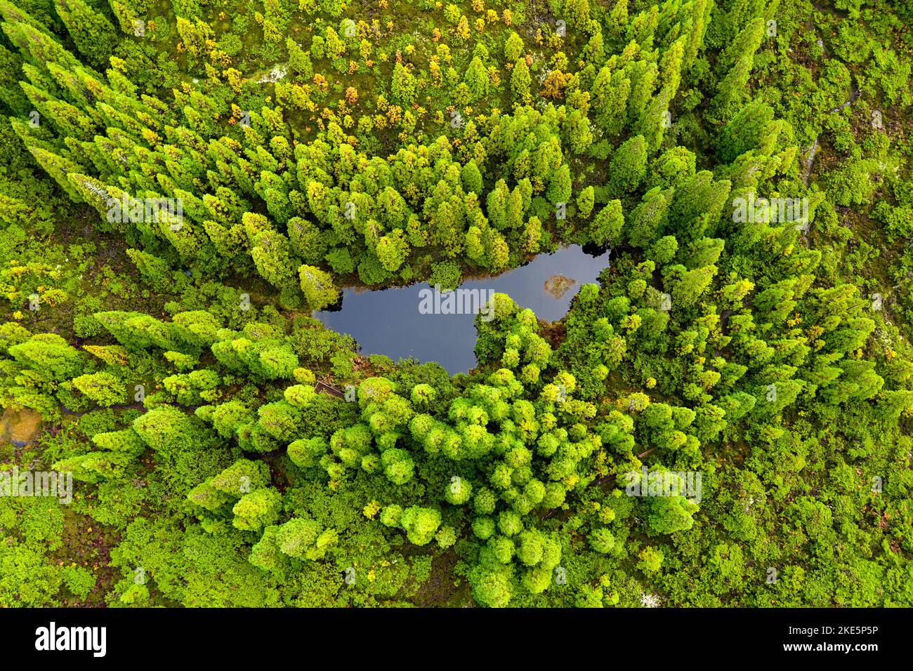 Luftaufnahme eines kleinen Teiches auf einem schönen Wanderweg in den 'Misterios Negros' im vulkanischen Gebiet der Terceira Insel, Açores Portugal Stockfoto