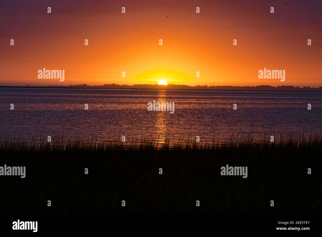 Sonnenaufgang mit Blick auf Watts Bay, Atlantic, Virginia, USA, von Nocks Landing. Stockfoto