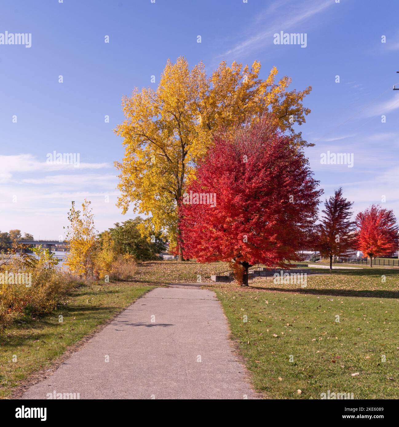 Herbstbäume in Saginaw, Michigan.Dies ist ein Gehweg entlang des Flusses und der Saginaw Brücke in der Nähe der Altstadt Westseite der Stadt an einem blauen Himmel Tag. Stockfoto