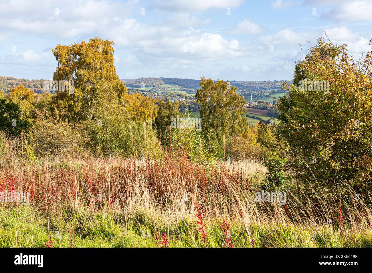 Ein Blick auf Painswick vom Cotswold Way National Trail Fernwanderweg im Herbst über Rudge Hill, Edge Common, Gloucestershire UK Stockfoto