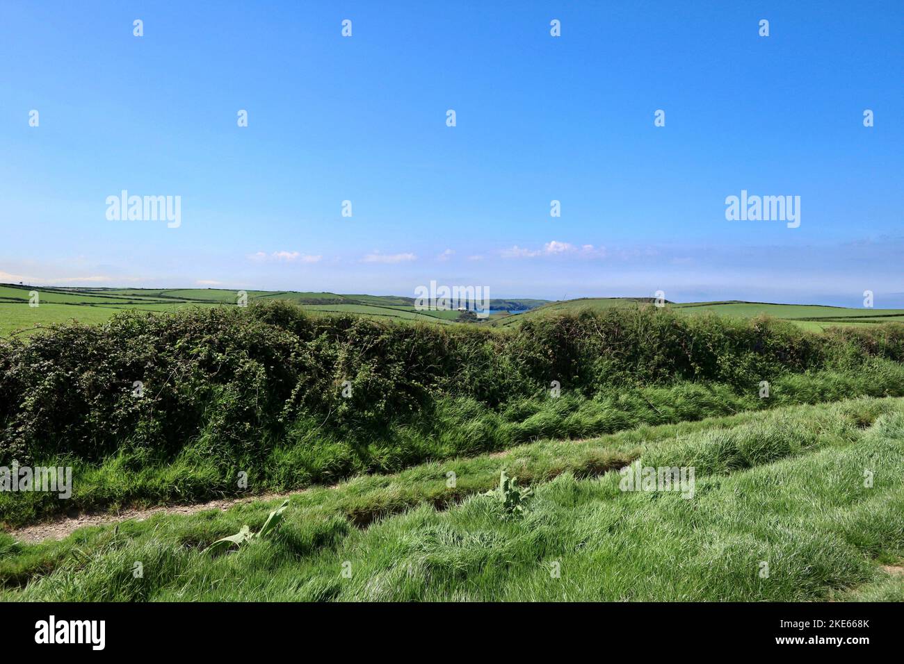 Fußweg nach Port Quint Stockfoto