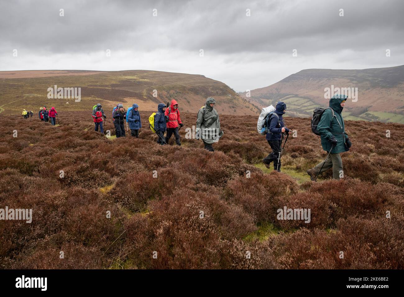 Spaziergänger in den Hügeln oberhalb von Crickhowell, Wales, während des jährlichen Crickhowell Walking Festivals. Stockfoto