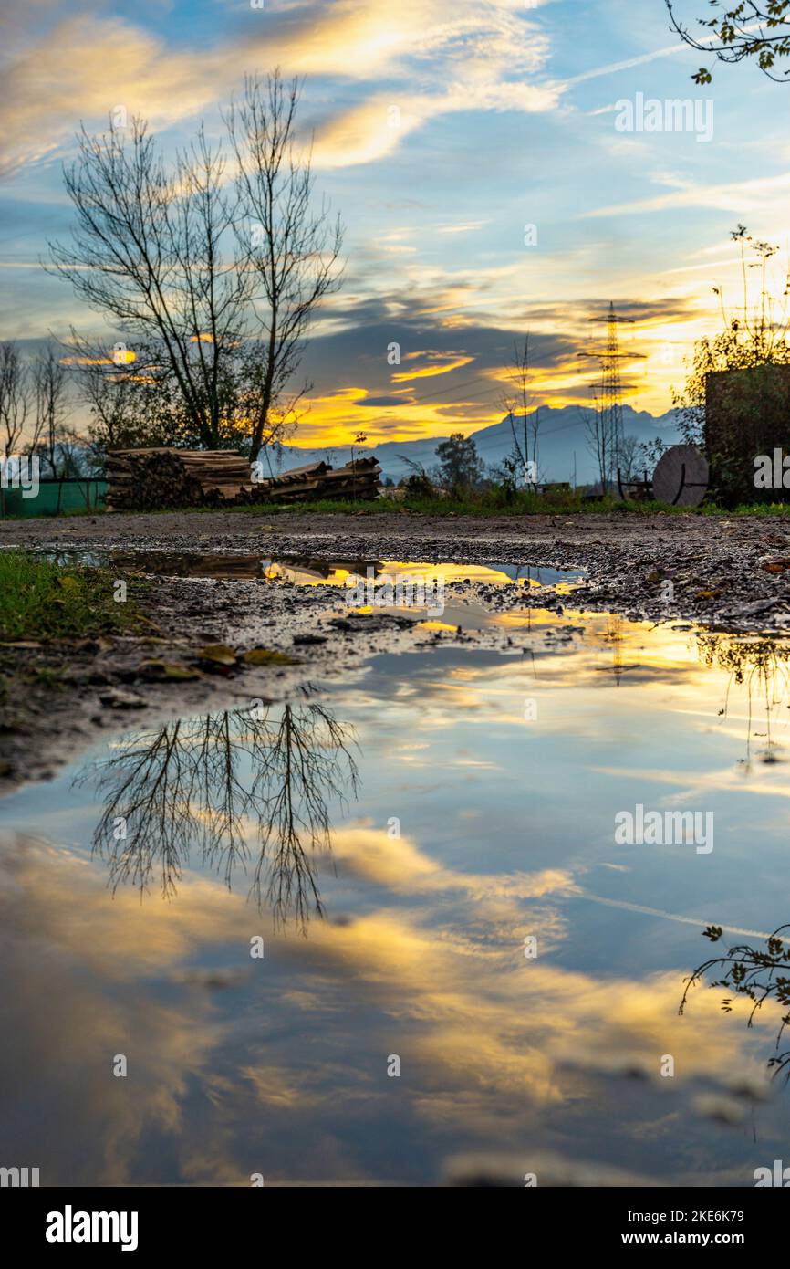 Sonnenuntergang im Rheintal, mit sich in der Pfütze spiegelnden Bäumen. Wiesen, Felder und Schweizer Bergen im Hintergrund. Föhn mit farbigen Wolken Stockfoto