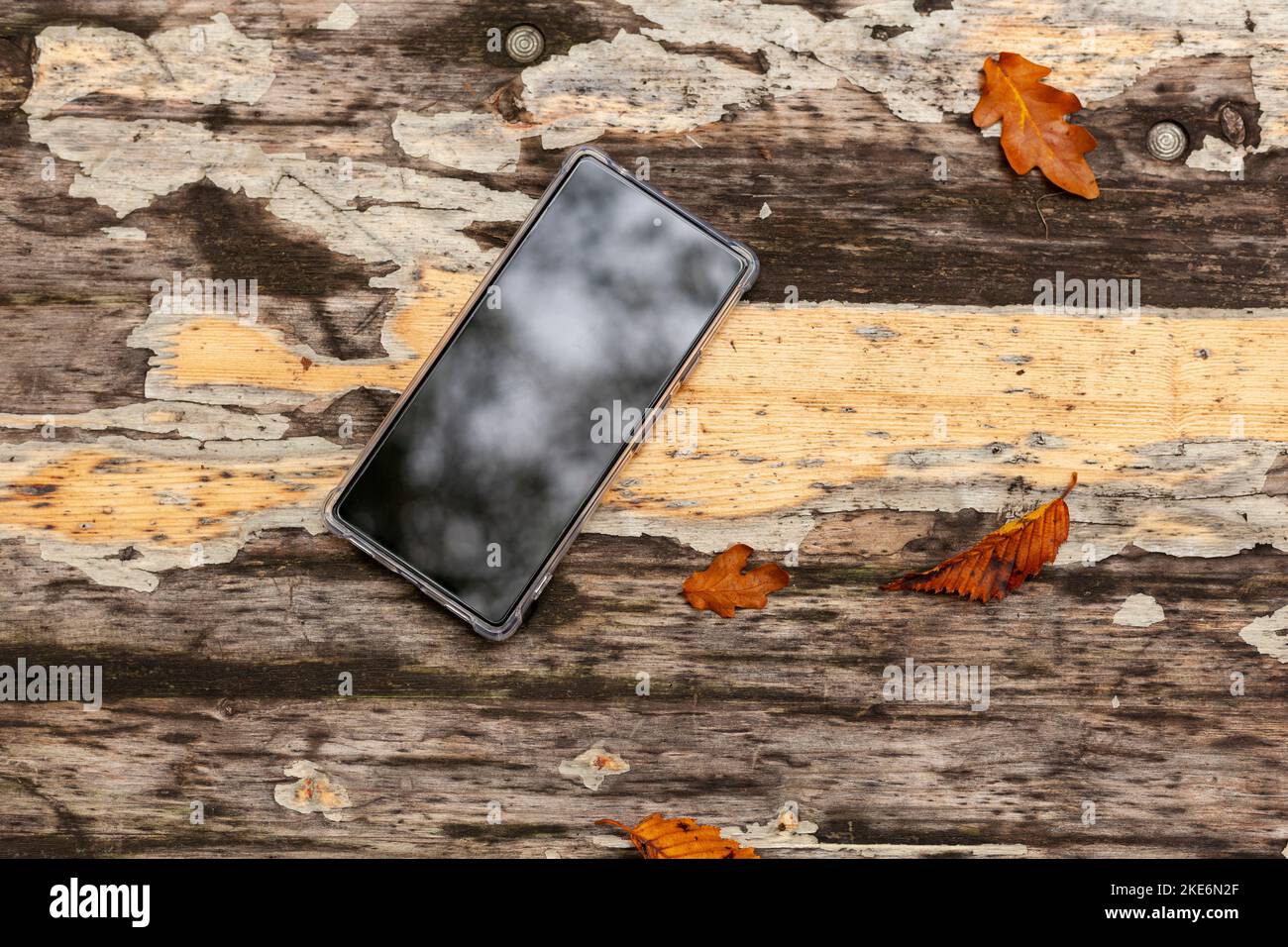 Ein neues Telefon in einem transparenten Gehäuse liegt auf einem alten Tisch mit herbstlichen Blättern. Stockfoto