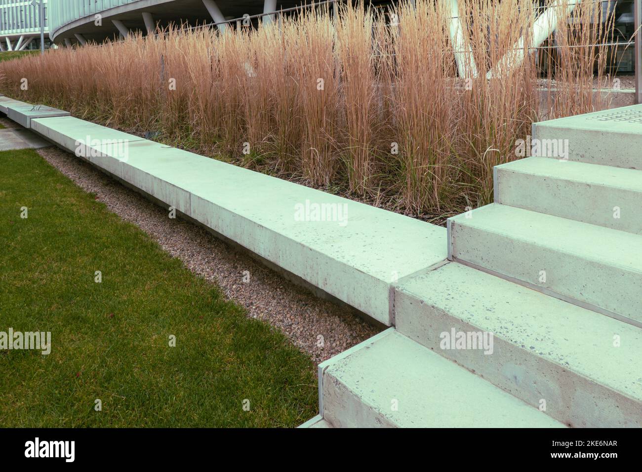 Moderne Gestaltung städtischer Gartenanlagen. Majestätisches, dekoratives Schilfgras und Fußgängerweg in der Nähe des modernen Gebäudes. Mehrjährige Pflanzen in der Stockfoto