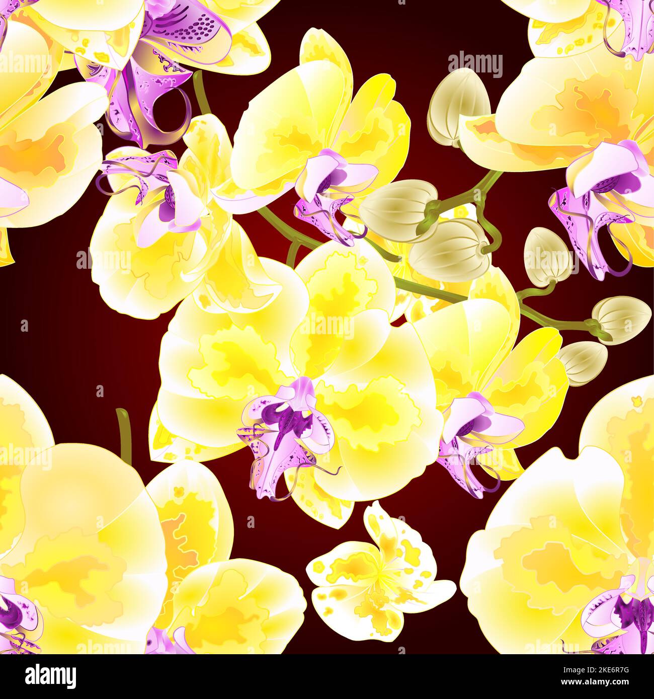 Nahtlose Textur Orchidee Phalaenopsis goldene Blumen und Knospen tropische Pflanzen auf einem weißen Hintergrund vintage Vektor botanische Illustration für Design e Stock Vektor