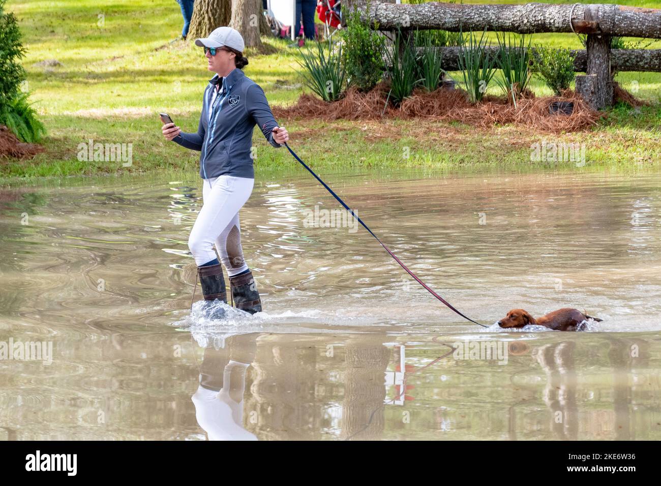 Red Hills Horse Prozess Stockfoto