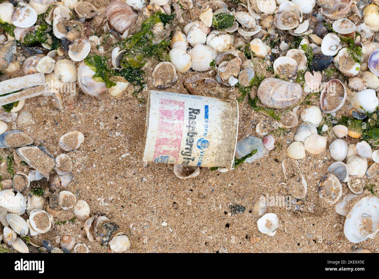 Meeresschutt - alter Einweg-Kunststoff-Joghurttopf, der am Strand gewaschen wurde - Kent, England, Großbritannien Stockfoto