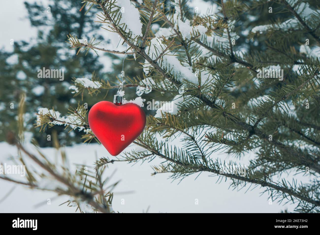 An einem schneebedeckten Ast hängt ein rotes herzförmiges Ornament Stockfoto