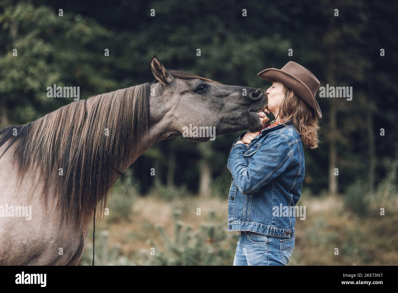 Quarab Horse mit einer Frau Stockfoto