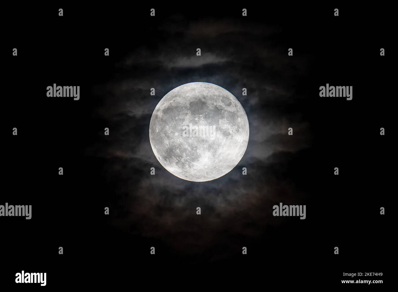 Magischer Vollmond. Beaver Moon. Mondkreis am wolkigen Himmel. Stockfoto