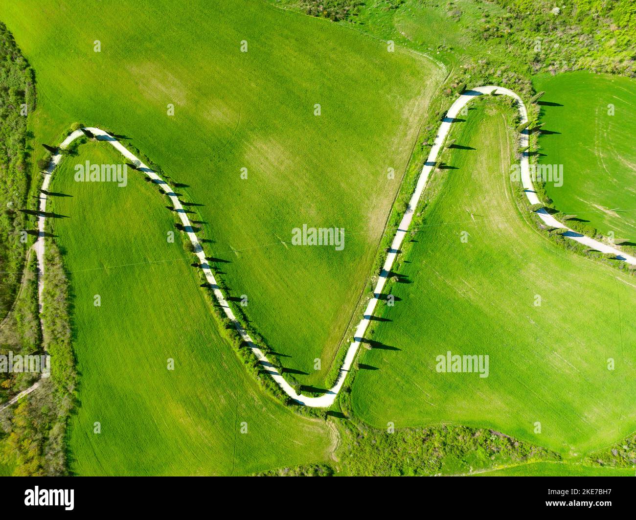 Blick auf eine kurvenreiche Straße mit Zypressen in der toskanischen Landschaft. Chianciano, Provinz Siena, Italien Stockfoto