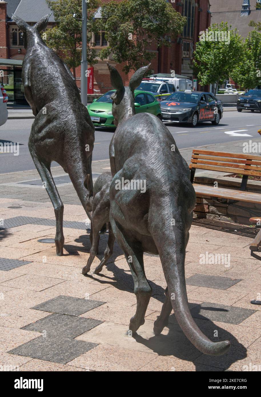 Bronzeskulpturen von Western Grey Kängurus in den Stirling Gardens auf der St. Georges Terrace, Perth, Westaustralien Stockfoto