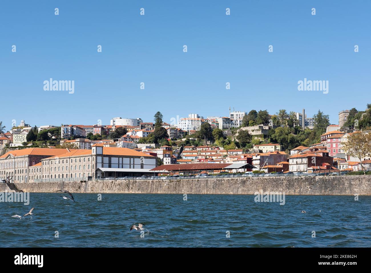 Vom Fluss Douro aus hat man einen weiten Blick auf die Stadt zum Nordufer mit terrassenförmig angelegten Gebäuden und Denkmälern in verschiedenen oder architektonischen Stilen Stockfoto