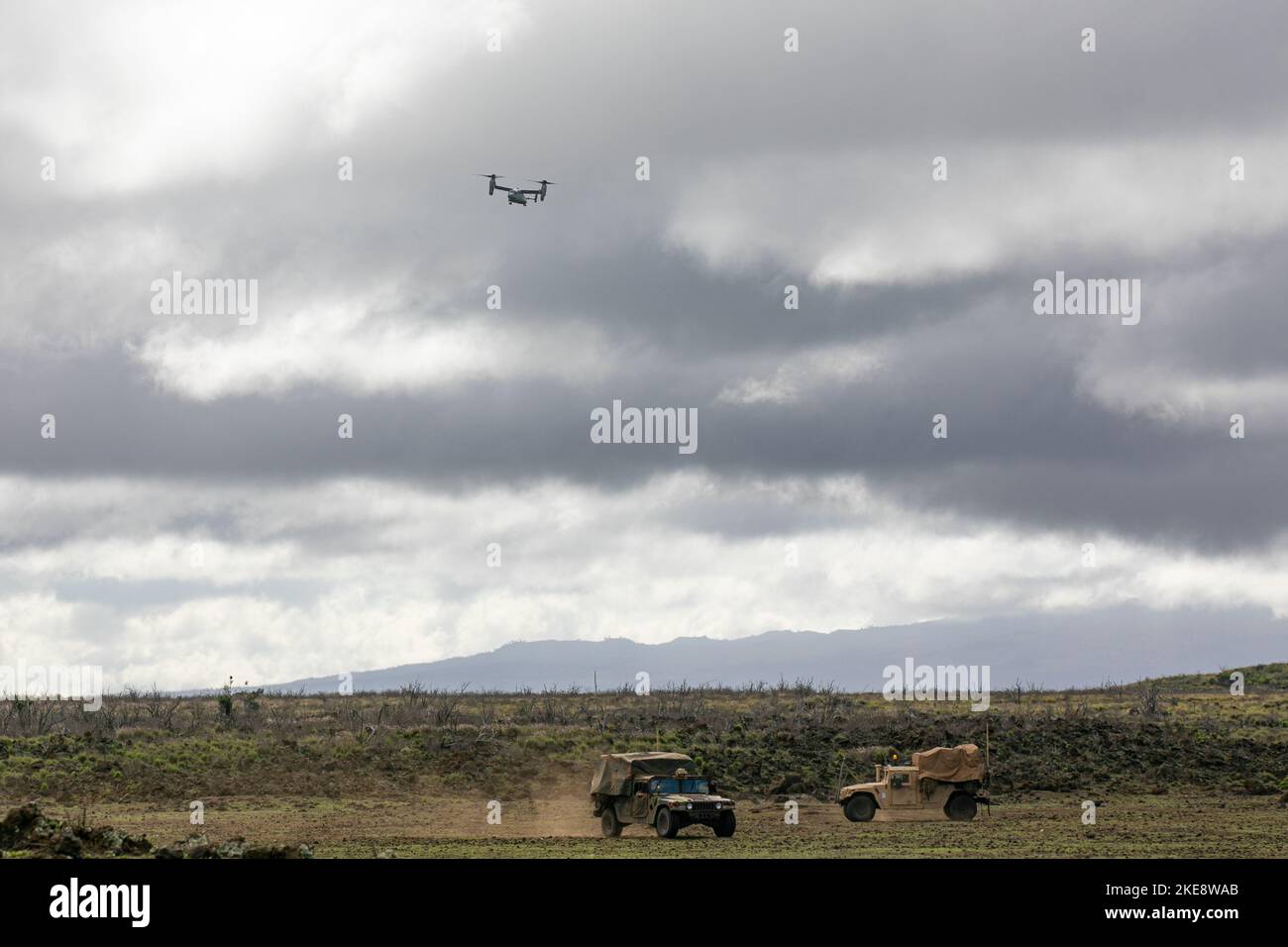 Ein US Marine Corps MV-22 Osprey aus Marine Medium Tiltrotor Squadron 363, Marine Corps Base Hawaii, Lufteinschübe 2. Bataillon, 35. Infanterie-Regiment, 3. Infanterie-Brigade-Kampfteam, 25. Infanterie-Division Opponents Forces on Pohakuloa Training Grounds, 7. November 2022. Bilaterale und multilaterale Übungen stärken die Beziehungen und verbessern die Interoperabilität mit Verbündeten und Partnern durch gemeinsame Erfahrungen und harte, realistische Schulungen. Wir laden regelmäßig Verbündete und Partner ein und ermutigen sie, an JPMRC-Rotationen teilzunehmen. (USA Armeefoto von Sgt. Rachel Christensen) Stockfoto