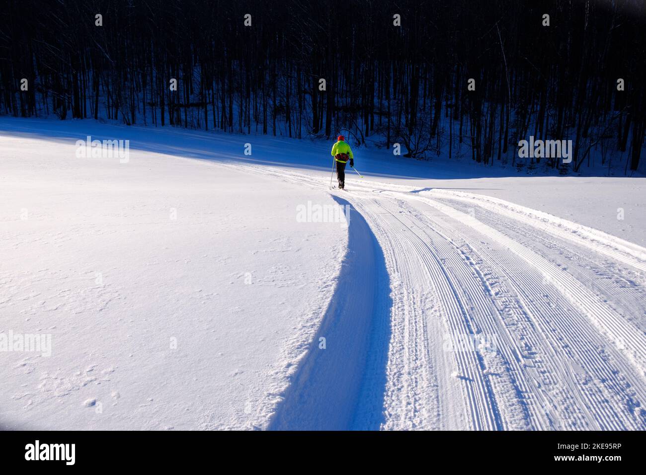 Skilanglauf an einem schönen sonnigen Tag im Neuschnee, East Montpelier, VT, New England, USA Stockfoto