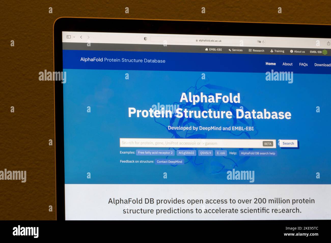 Homepage der AlphaFold Protein Structure Database. AlphaFold ist ein von DeepMind entwickeltes KI-System, das die 3D-Struktur eines Proteins vorhersagt. Stockfoto