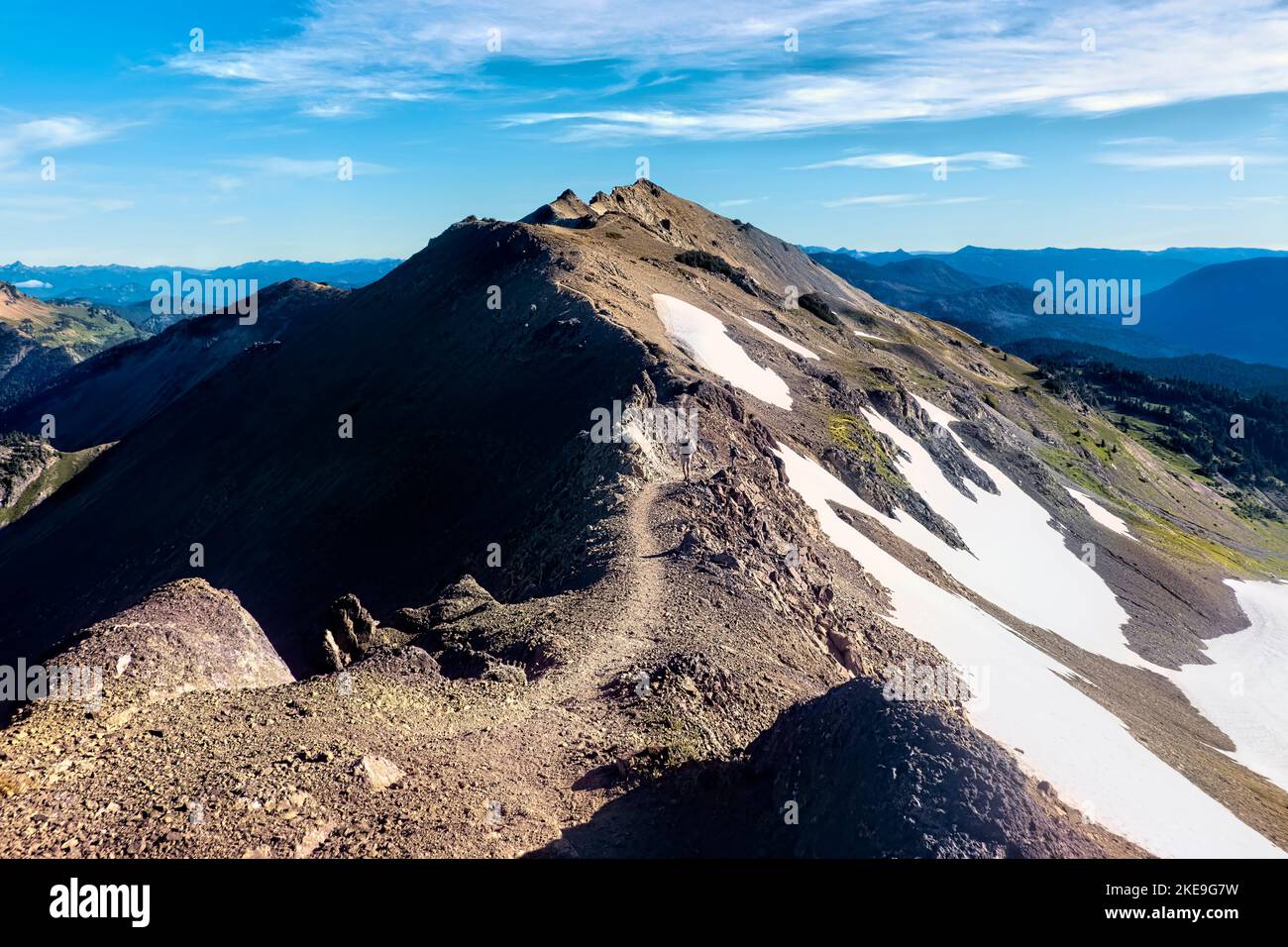 Wandern durch die Goat Rocks Wilderness, Pacific Crest Trail, Washington, USA Stockfoto