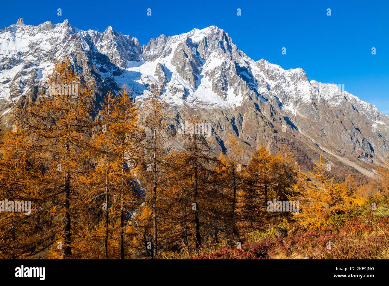 Blick auf Grandes Jorasses und das Mont Blanc-Massiv vom Weg zur Bergone Refuge im Ferret Valley im Herbst. Ferret Valley, Courmayeur, Aosta Bezirk, Stockfoto