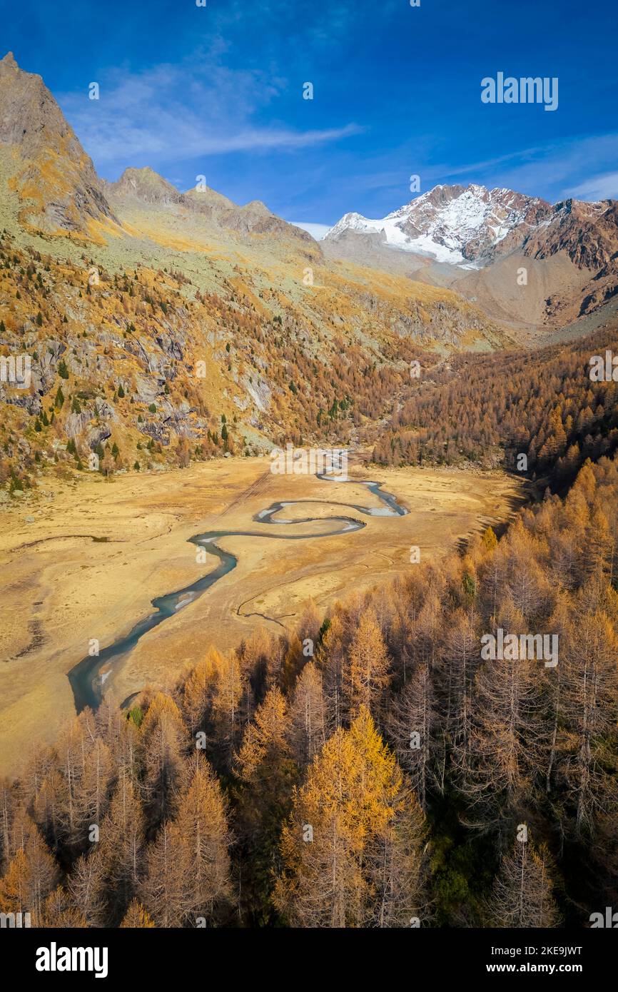 Luftaufnahme des Preda Rossa-Tals im Herbst vor dem Monte Disgrazia und Corni Bruciati. Val Masino, Provinz Sondrio, Lombardei, Italien. Stockfoto