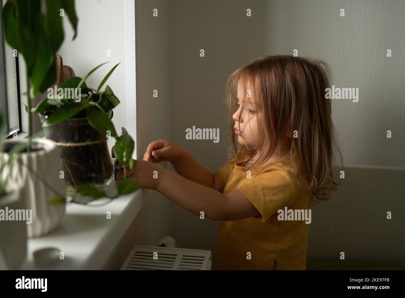 An einem bewölkten Herbsttag spielt das Kind am Fenster.häusliches Leben. Inneneinrichtung. Grüne Blumen auf der Fensterbank. Speicherplatz kopieren. Selektiver Fokus. Stockfoto