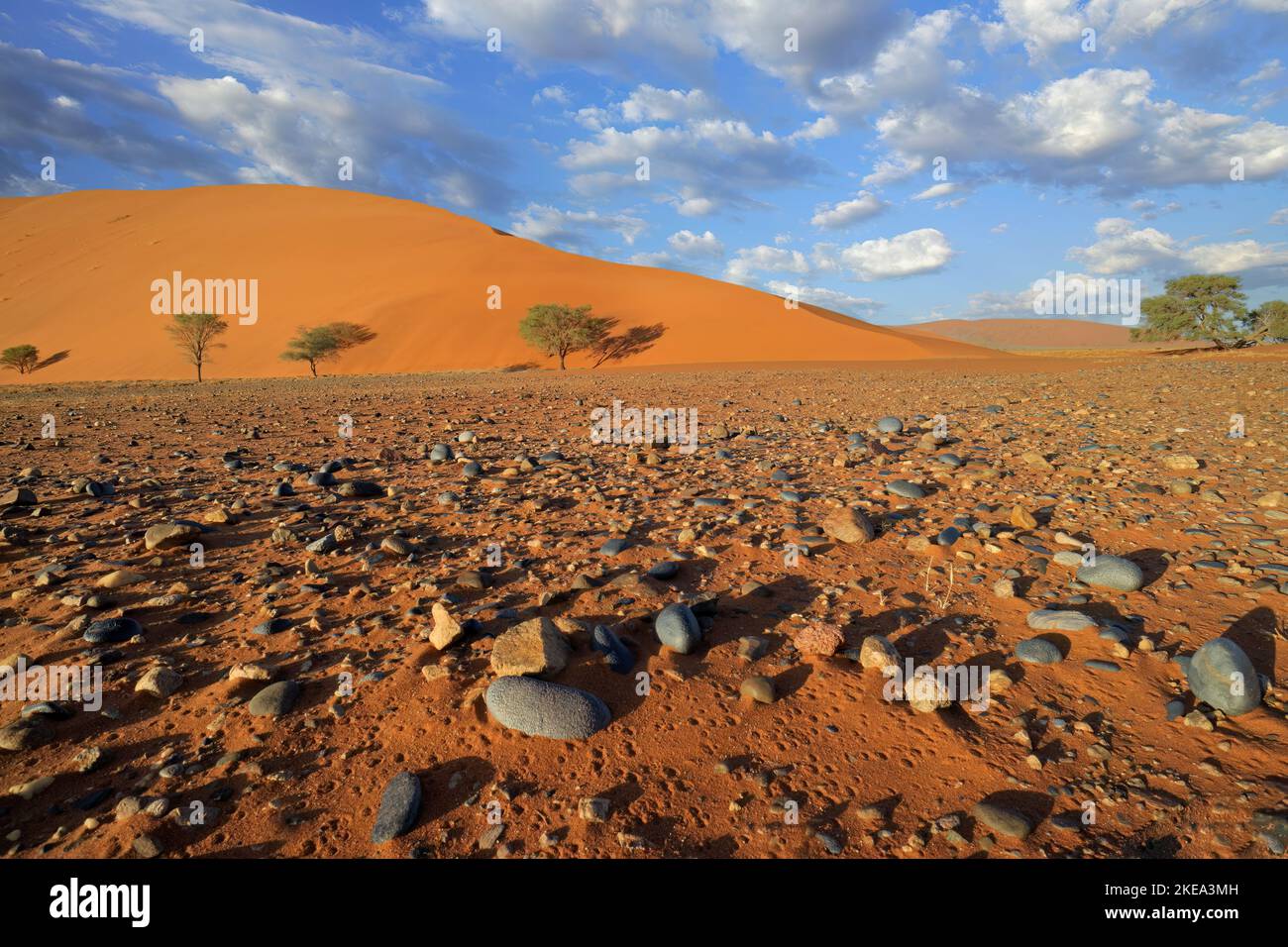 Karge Ebene mit Steinkieseln und roter Sanddüne, Sossusvlei, Namib-Wüste, Namibia Stockfoto