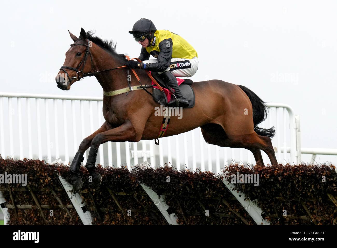 Invictus De Brion mit Tom Cannon während des Watch RacingTV 31 Tage lang gratis für Anfänger auf der Rennbahn Kempton Park in Sunbury-on-Thames. Bilddatum: Montag, 7. November 2022. Stockfoto