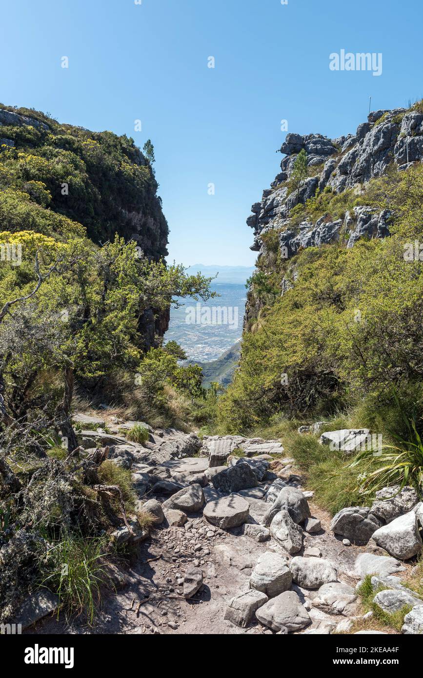 Blick vom Gipfel des Platteklip Gorge Wanderweges auf dem Tafelberg in Kapstadt. Ein Teil von Kapstadt ist unten sichtbar Stockfoto