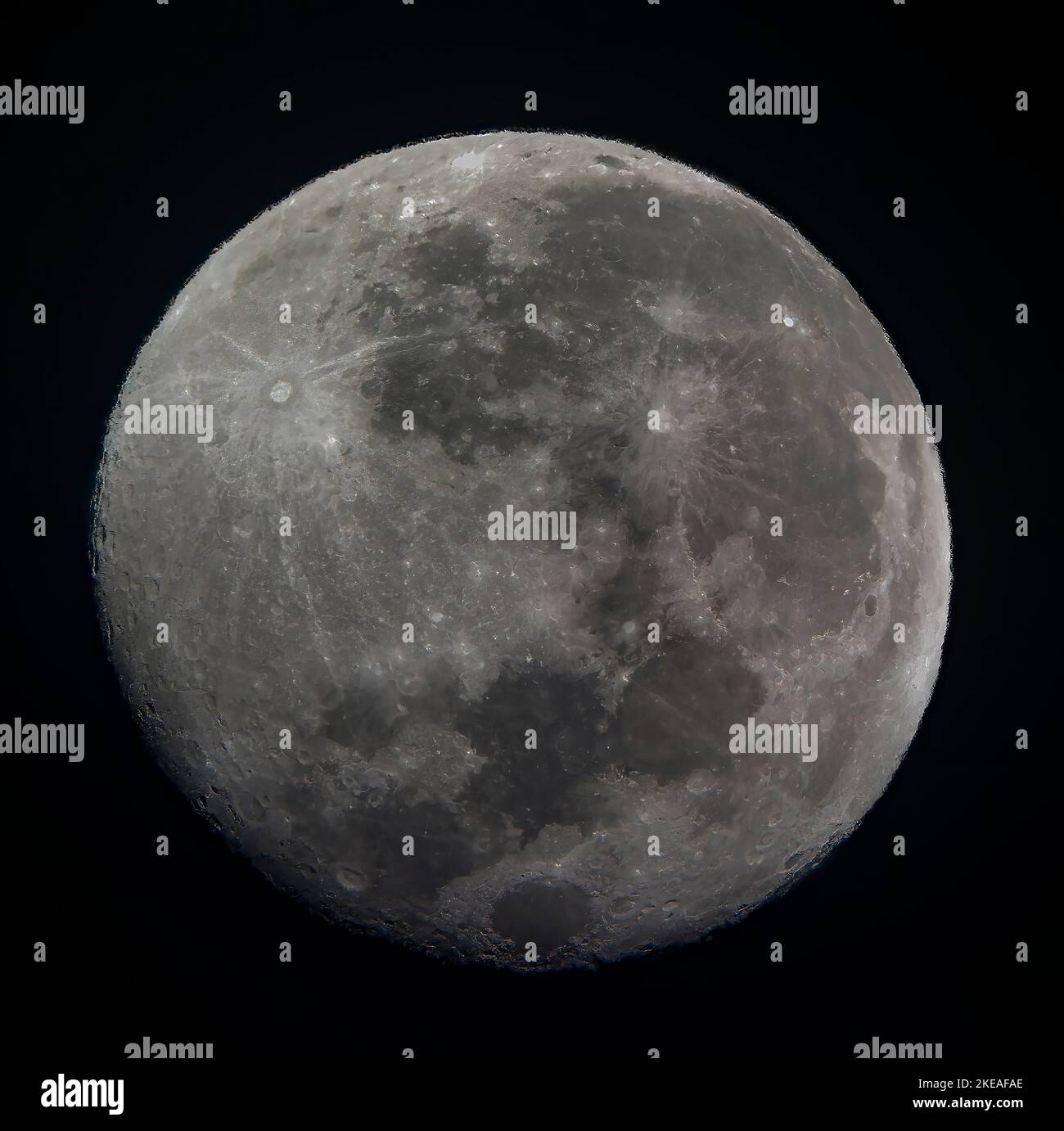 Vollmond am 8. November 2022. Stockfoto