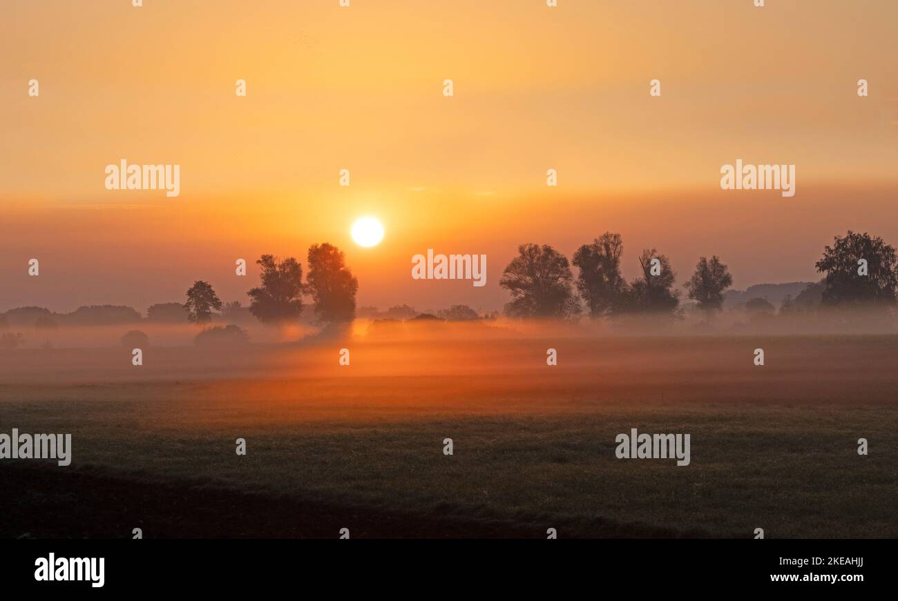 Strahlungsnebel bei Sonnenaufgang im Moor, orangefarbenes Licht, Deutschland, Bayern, Erdinger Moos Stockfoto