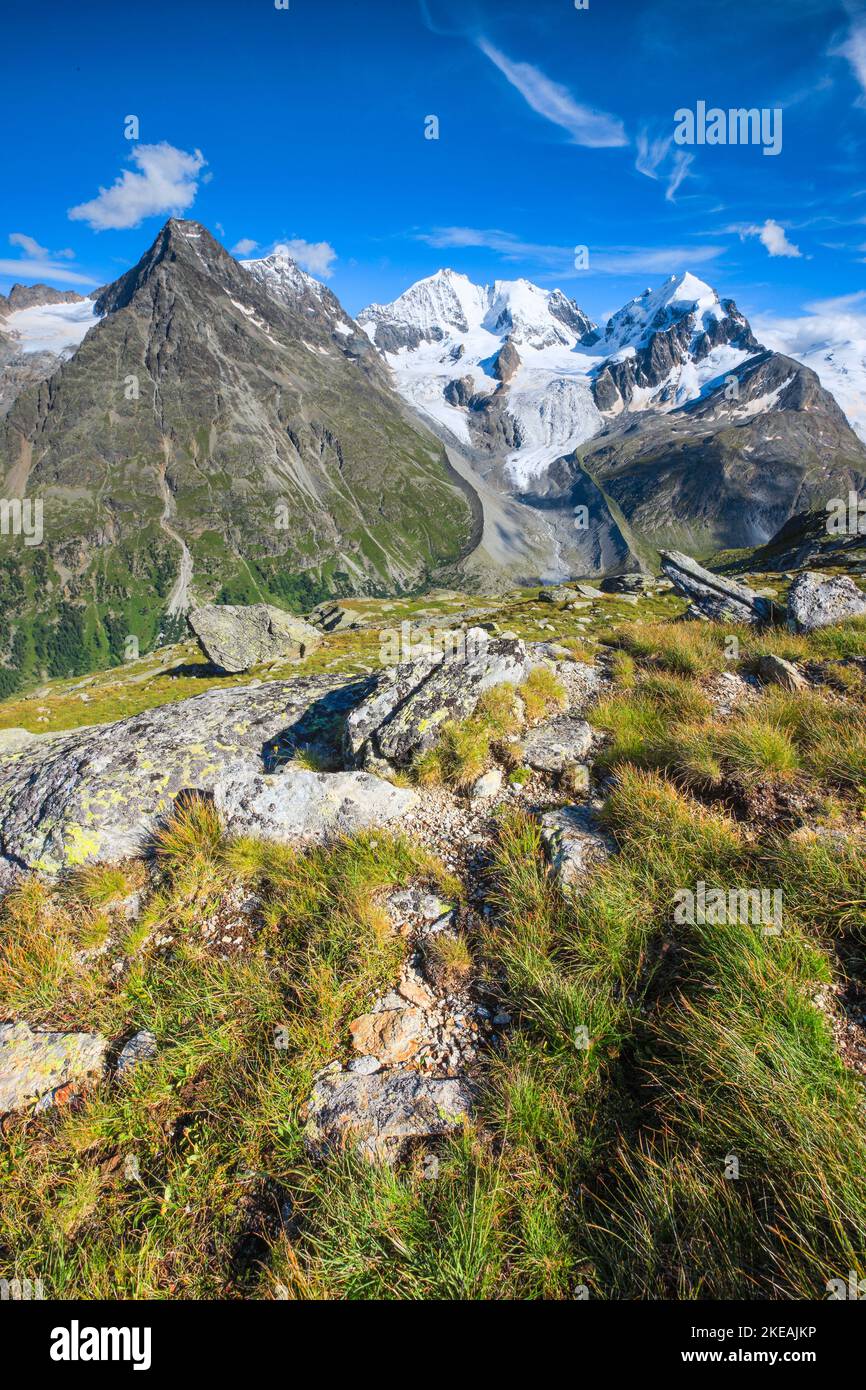 Blick von Fuorcla Surlej, Piz Tschierva-3546 m, Piz Bernina-4049 m, Biancograt, Piz Roseg-3937 m, Schweiz, Graubünden, Engadin Stockfoto