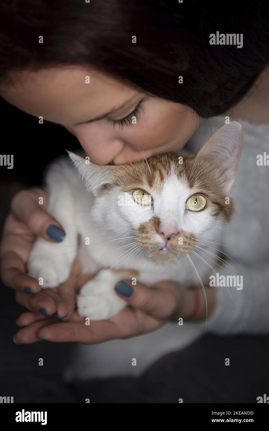 Frau mit Hauskatze Stockfoto