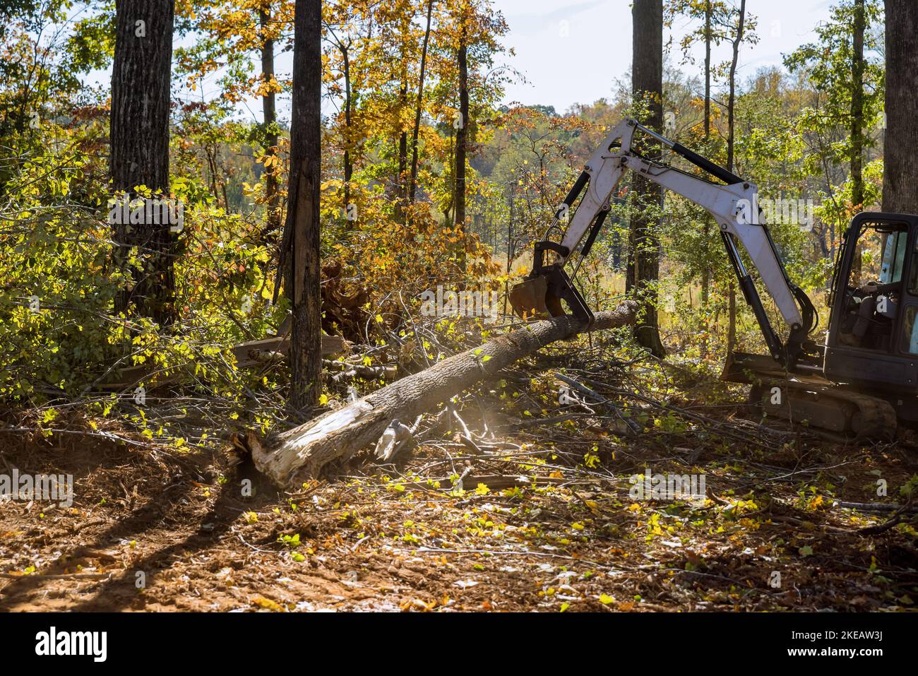 Landschaftsbau arbeiten, um Land Wurzeln als Teil der Wohnentwicklung Unterteilung zu löschen, mit Traktoren rutscht Steers. Stockfoto