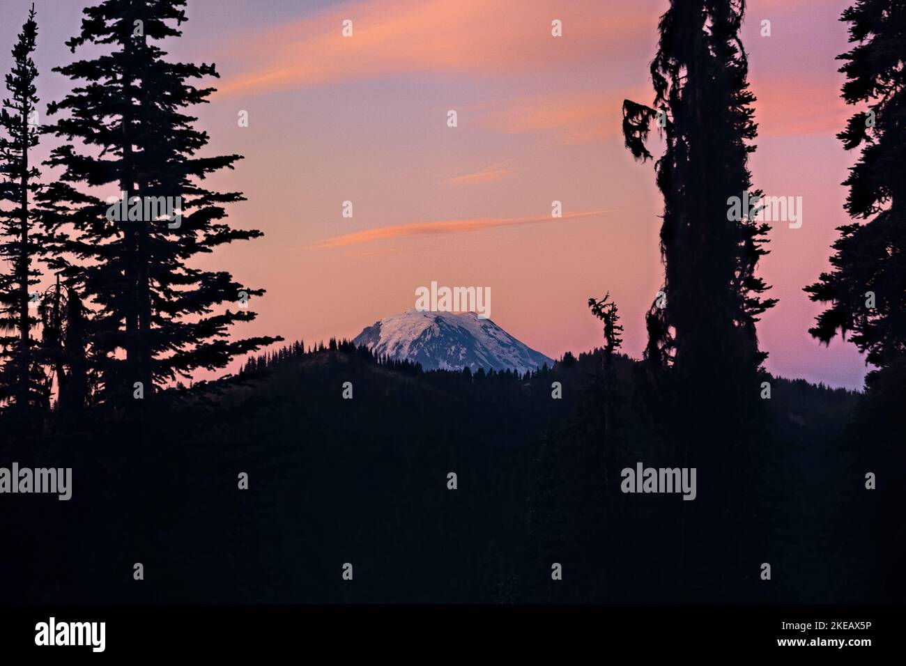 Mt. Adams bei Sonnenaufgang, Goat Rocks Wilderness, Pacific Crest Trail, Washington, USA Stockfoto
