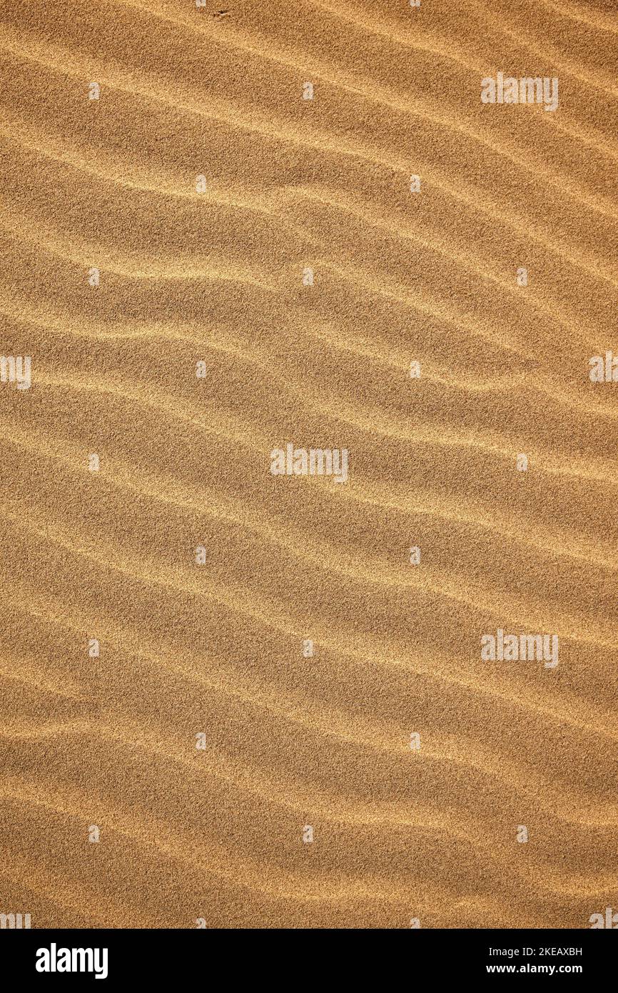 Eine wunderschöne Sandstruktur. Ein welliger Wüstenhintergrund. Eine Sanddüne im Hintergrund Stockfoto
