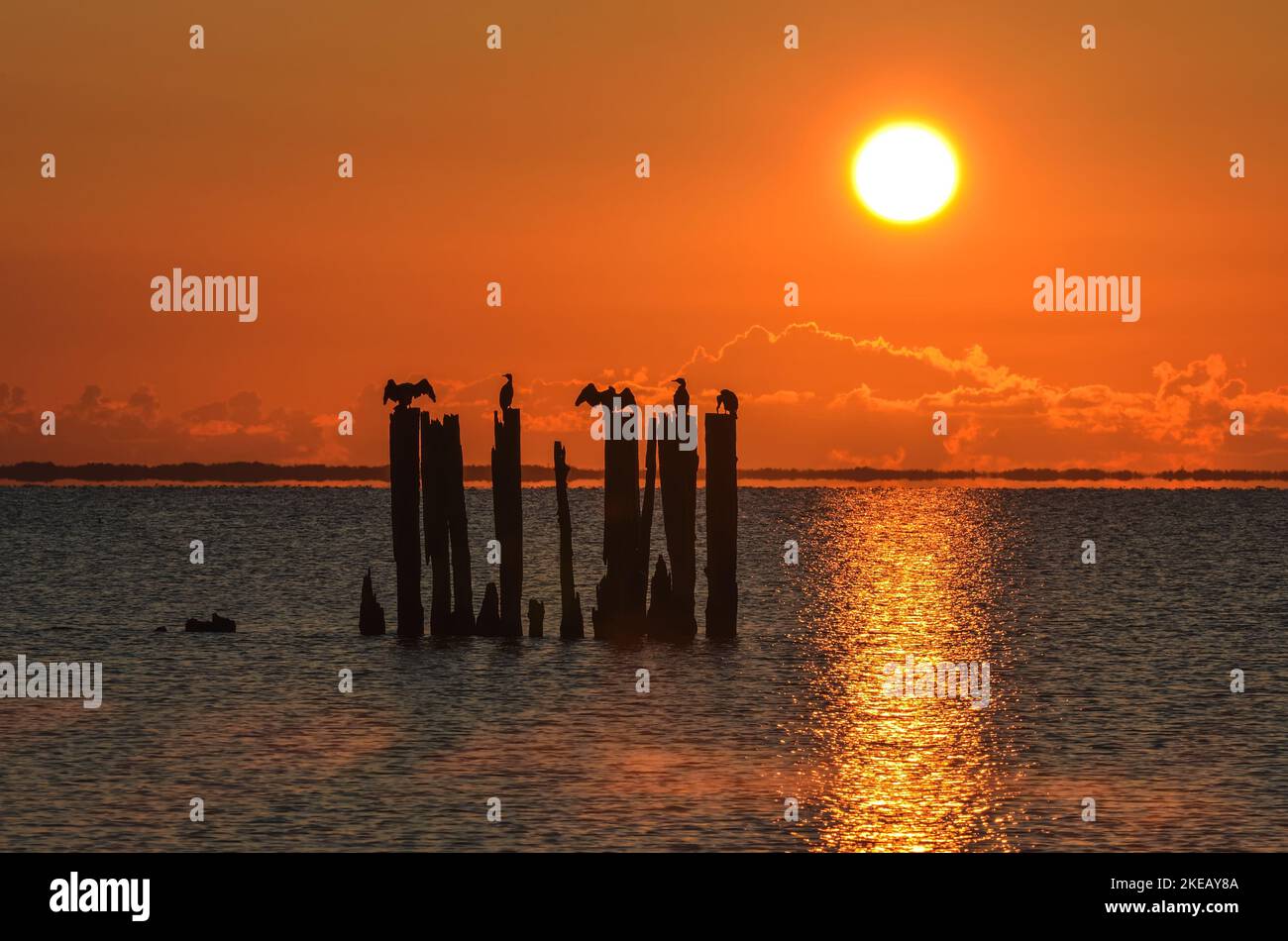 Wunderschöner Blick auf das Meer am Abend. Holzballen an der polnischen Küste mit der Abendsonne im Hintergrund. Stockfoto