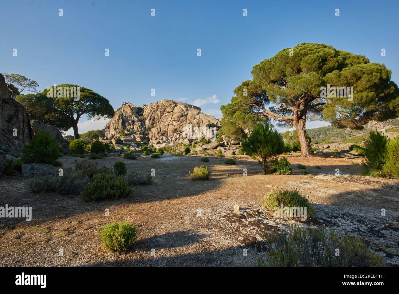 Mediterrane wilde Natur. Schöne Landschaft aus Felsen und Kiefern Stockfoto