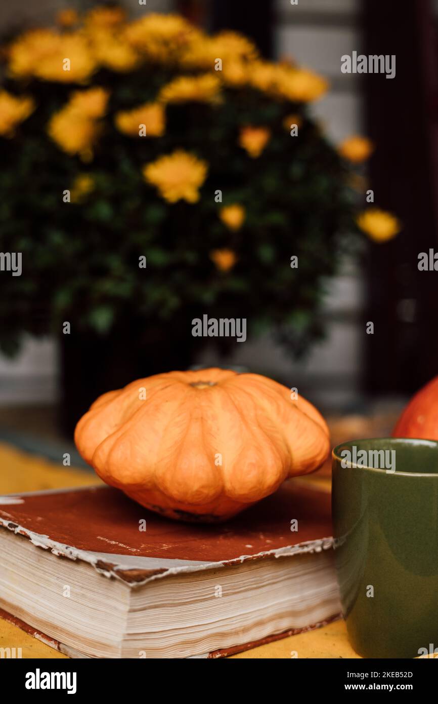 Herbstzusammensetzung aus Kürbis, Buch und Chrysantheme in einem Topf draußen Stockfoto