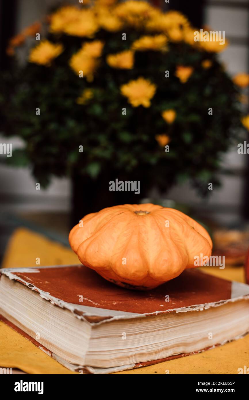 Herbstzusammensetzung aus Kürbis, Buch und Chrysantheme in einem Topf draußen Stockfoto