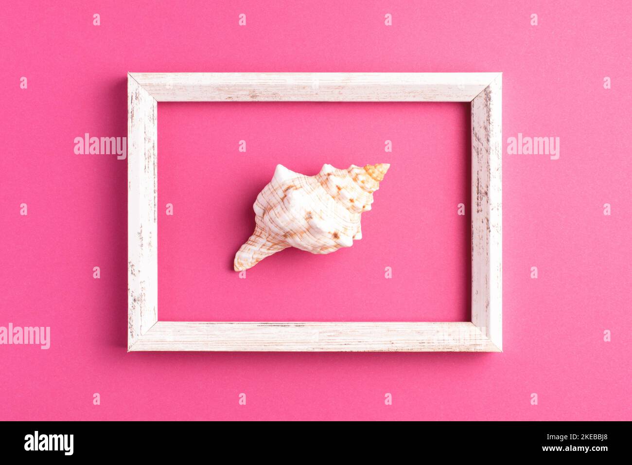 Minimalistische, flache Lay-Komposition mit Vintage-Bilderrahmen und Muschelschale auf hellrosa Hintergrund. Blick von oben, sommerliches Konzept. Stockfoto
