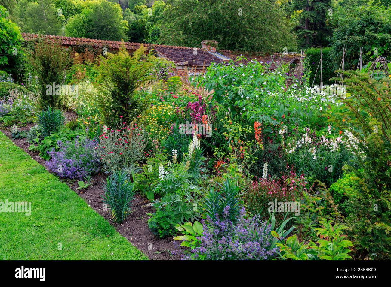 Farbenfrohe Pflanzen und Pflanzen im ummauerten Garten des Heale House - einem aus Backsteinen gebauten Herrenhaus aus dem 17.. Jahrhundert in Middle Woodford, Wiltshire, England, Großbritannien Stockfoto