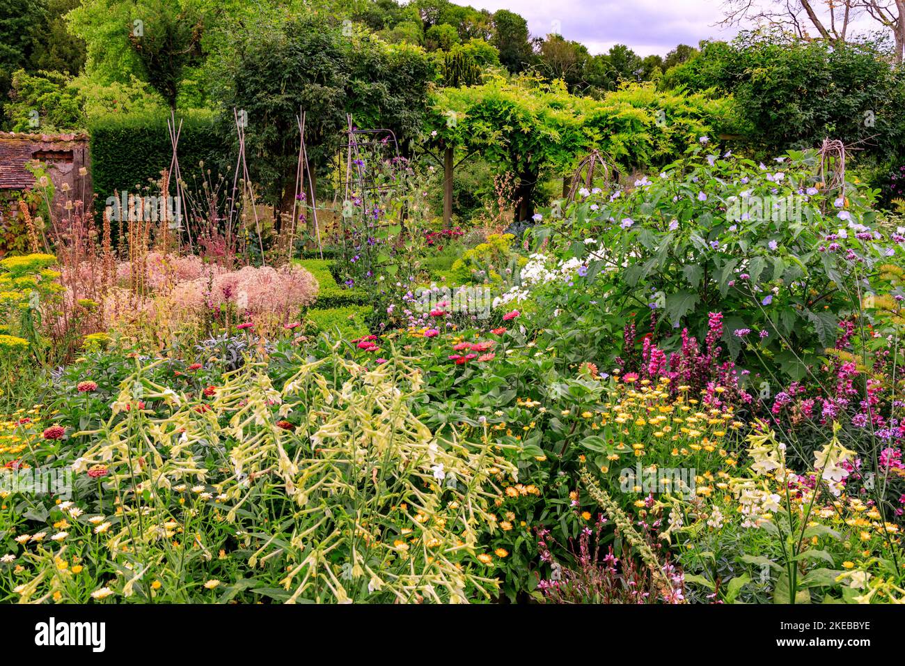 Farbenfrohe Pflanzen und Pflanzen im ummauerten Garten des Heale House - einem aus Backsteinen gebauten Herrenhaus aus dem 17.. Jahrhundert in Middle Woodford, Wiltshire, England, Großbritannien Stockfoto
