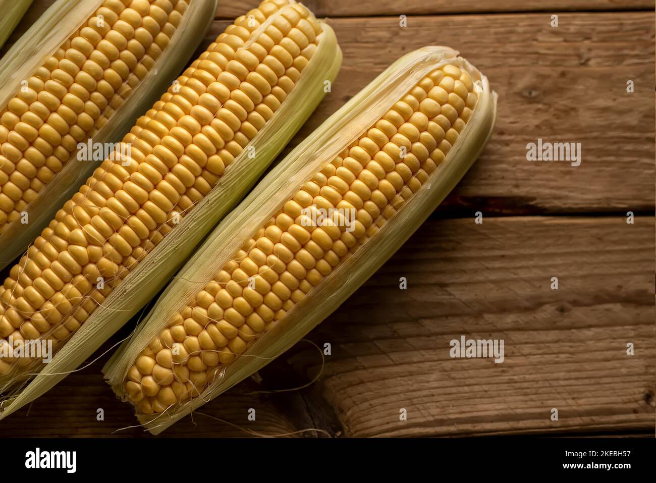 Drei Ähren Mais (Zea mays) auf rustikalem Holzhintergrund. Draufsicht. Stockfoto