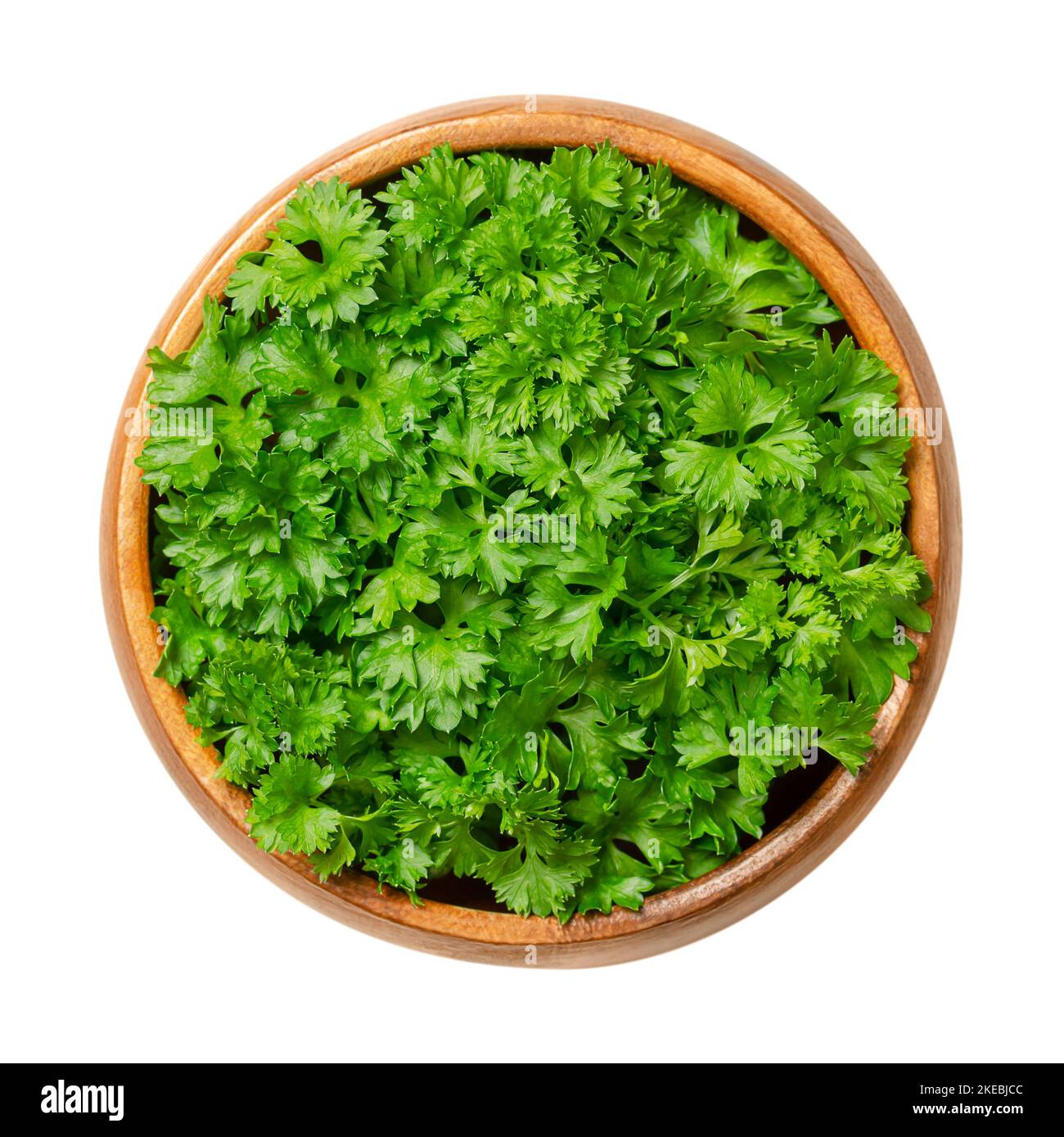 Frische, lockige Petersilie in einer Holzschüssel. Lockige Petersilie, mit leuchtend grünen, zerknitterten Blättern, als Garnierung verwendet. Petroselinum crispum. Stockfoto