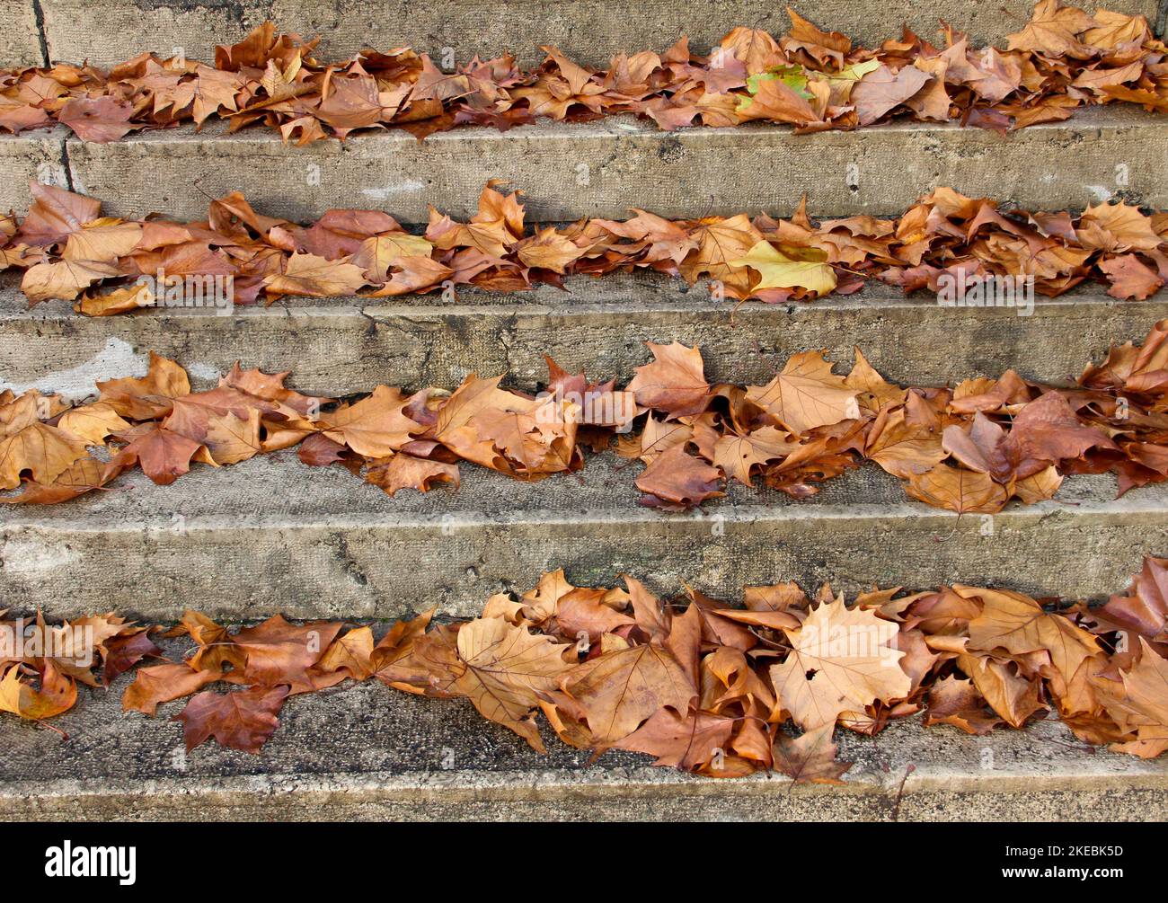 Treppen mit Herbstlaub Blick auf alte Steintreppen im Herbstpark. Stockfoto