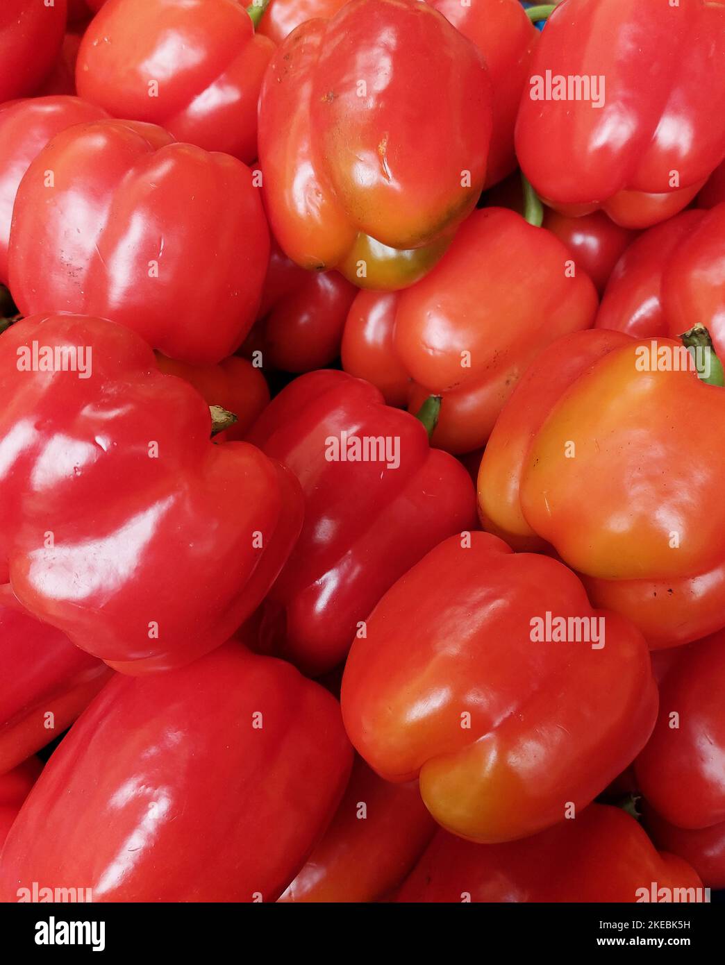 Rote Paprika-Gruppe auf der Gemüsetheke. Stockfoto