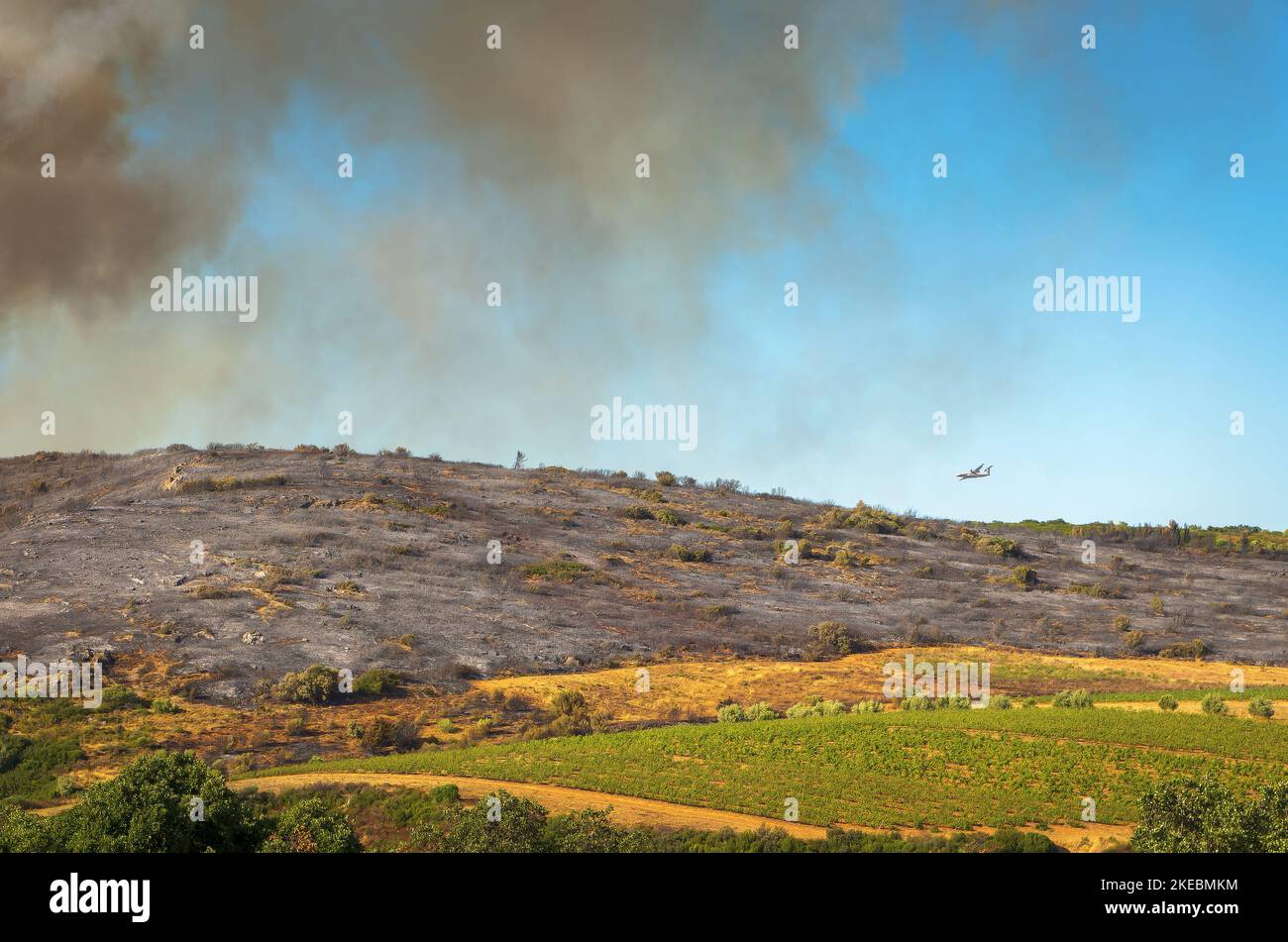 Intervention sur le lieu d'un incendie de forêt,Occitanien,Frankreich. Stockfoto