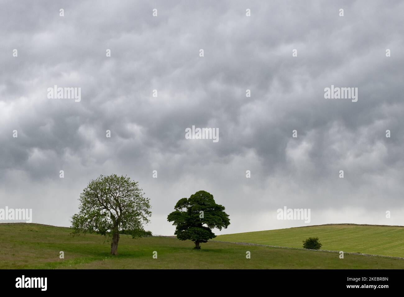 Englische Landschaft (Peak District) mit Bäumen und stürmischem Himmel – England, Großbritannien Stockfoto