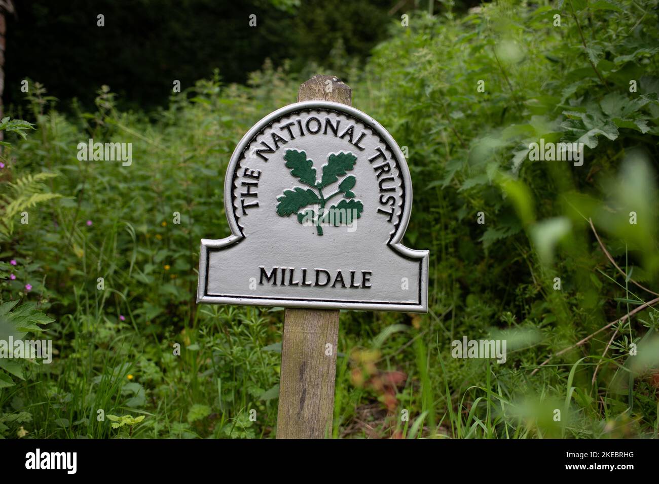 Milldale, Staffordshire Peak District National Trust, England, Großbritannien Stockfoto